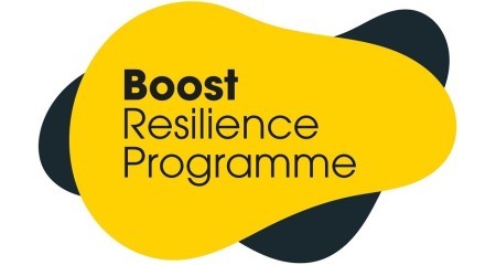 Boost Resilience web